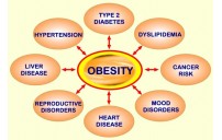 Is Obesity Really Genetic: To a Certain Extent
